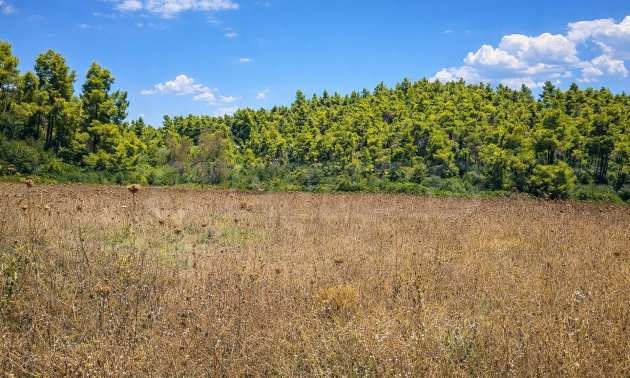 Продава ПАРЦЕЛ, Извън страната, област Извън страната, снимка 14 - Парцели - 54846564