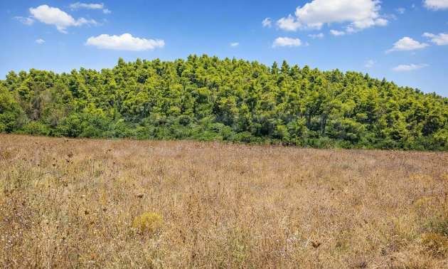 Продава ПАРЦЕЛ, Извън страната, област Извън страната, снимка 17 - Парцели - 54846564