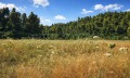 Продава ПАРЦЕЛ, Извън страната, област Извън страната, снимка 5
