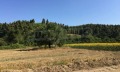 Продава ПАРЦЕЛ, Извън страната, област Извън страната, снимка 2