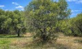 Продава ПАРЦЕЛ, Извън страната, област Извън страната, снимка 11
