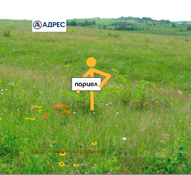 Продава ЗЕМЕДЕЛСКА ЗЕМЯ в област Плевен, гр. Плевен - 1 дка / 55 000 € » 107 570.65 лв., АДРЕС - ФРАНЧАЙЗ ПЛЕВЕН