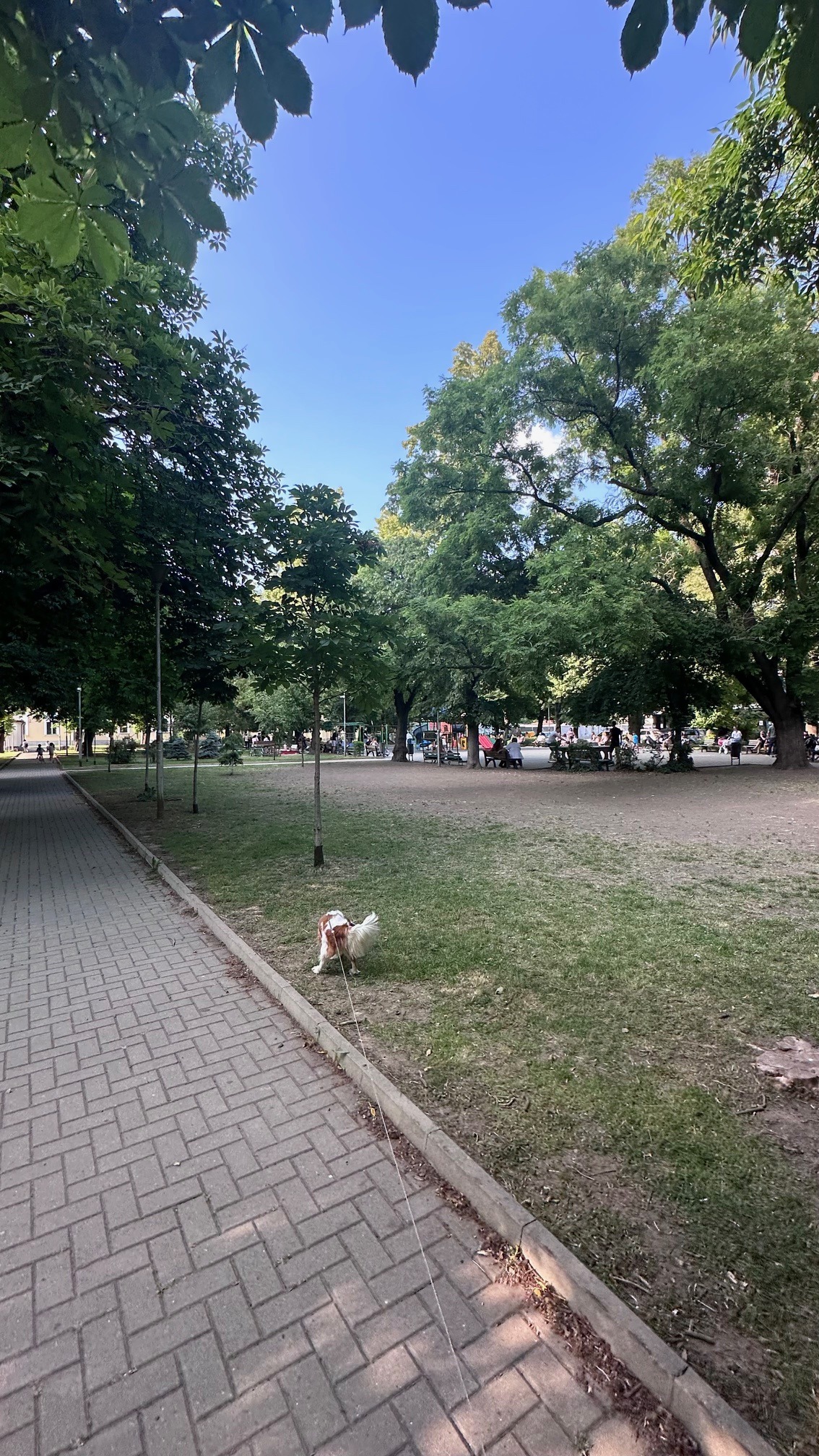 ������� 2-����� | Imot.bg � ����������� 8