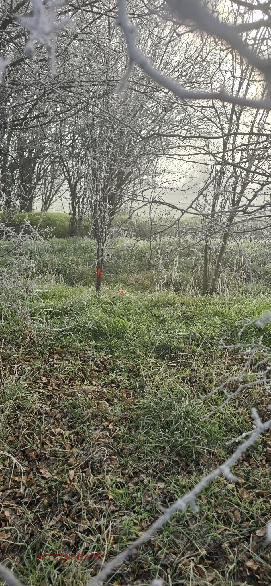 ������� ������ | Imot.bg � ����������� 6