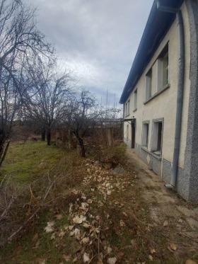 Hus Zlatosel, region Plovdiv 2