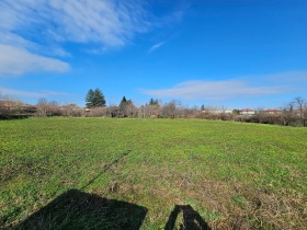 ����� ������� ����,�. �������, ������ �������