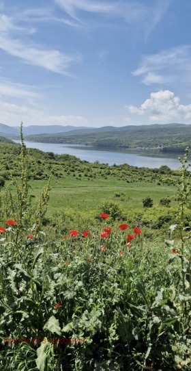 Komplo yaz. Pçelina, bölge Pernik