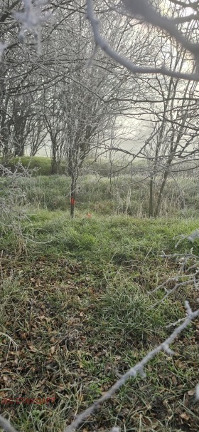 ������� ������ | Imot.bg � ����� ������ 6