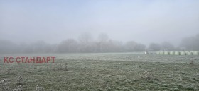 ������ ������� ������