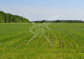 ����� ������� ������,�. ����, ������ ������