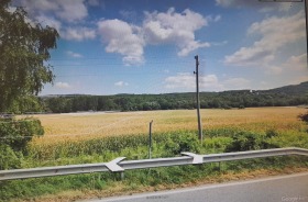 ����� ������� ������,���� �����, ��������