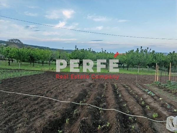 На продаж  Сюжет область Бургас , Айтос , 1038 кв.м | 61799661 - зображення [3]