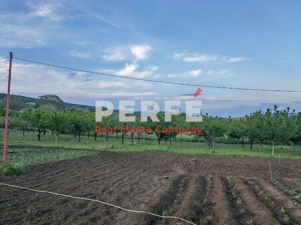 На продаж  Сюжет область Бургас , Айтос , 1038 кв.м | 61799661