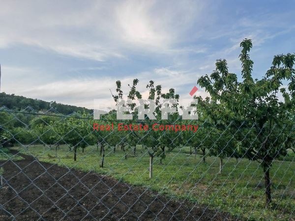 На продаж  Сюжет область Бургас , Айтос , 1038 кв.м | 61799661 - зображення [2]