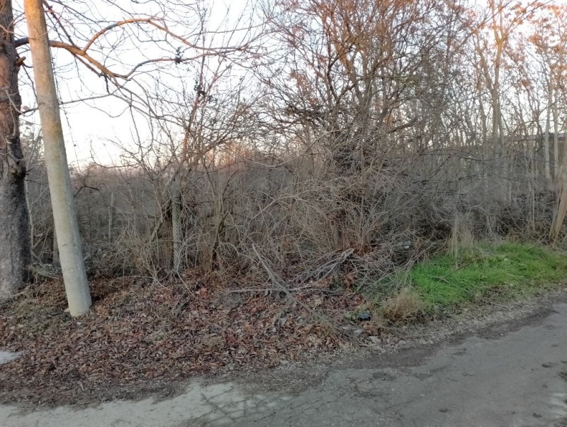 Til salgs  Plott region Varna , Sjerventsi , 2000 kvm | 56167255 - bilde [3]