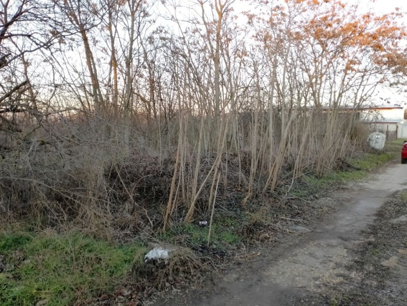 Til salgs  Plott region Varna , Sjerventsi , 2000 kvm | 56167255 - bilde [5]