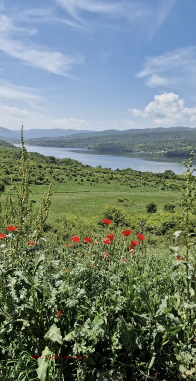 Satılık  Komplo bölge Pernik , yaz. Pçelina , 2000 metrekare | 14170192