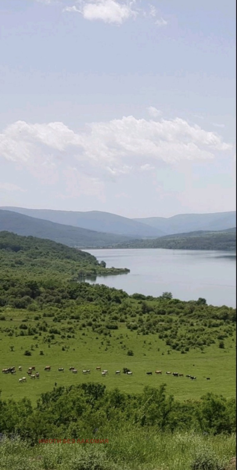 Satılık  Komplo bölge Pernik , yaz. Pçelina , 2000 metrekare | 14170192 - görüntü [6]