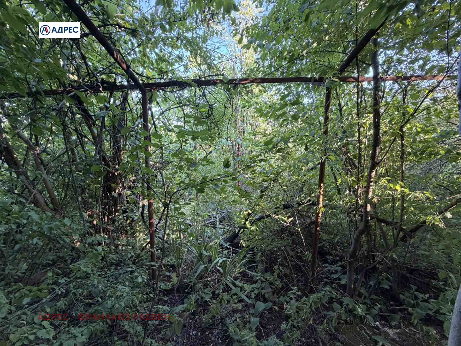 Продава КЪЩА, гр. Плевен, м-т Плочата, снимка 4 - Къщи - 55569679