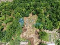 Продава ПАРЦЕЛ, с. Алеково, област Велико Търново, снимка 10