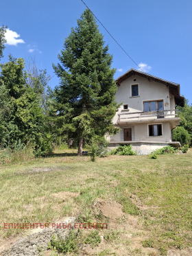 Hus Priboi, region Pernik