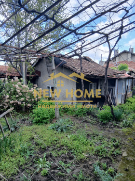 ����� ������� ����,���� ������, ������>