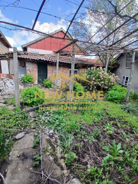 ����� ������� ����,���� ������, ������