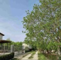 Продава ПАРЦЕЛ, с. Кичево, област Варна, снимка 5
