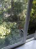 Продава  3-стаен град Варна , Чаталджа , 66 кв.м | 84909731 - изображение [5]