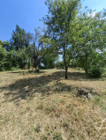 Продава КЪЩА, област Перник, с. Прибой • 65000 € • 69608116 — Holmes.bg