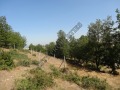 Продава ПАРЦЕЛ, област Благоевград, с. Изгрев • 33215 € • 11567297 — Holmes.bg