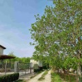 Продава ПАРЦЕЛ, област Варна, с. Кичево • 14500 € / 28359.53 лв. • 15256364 5