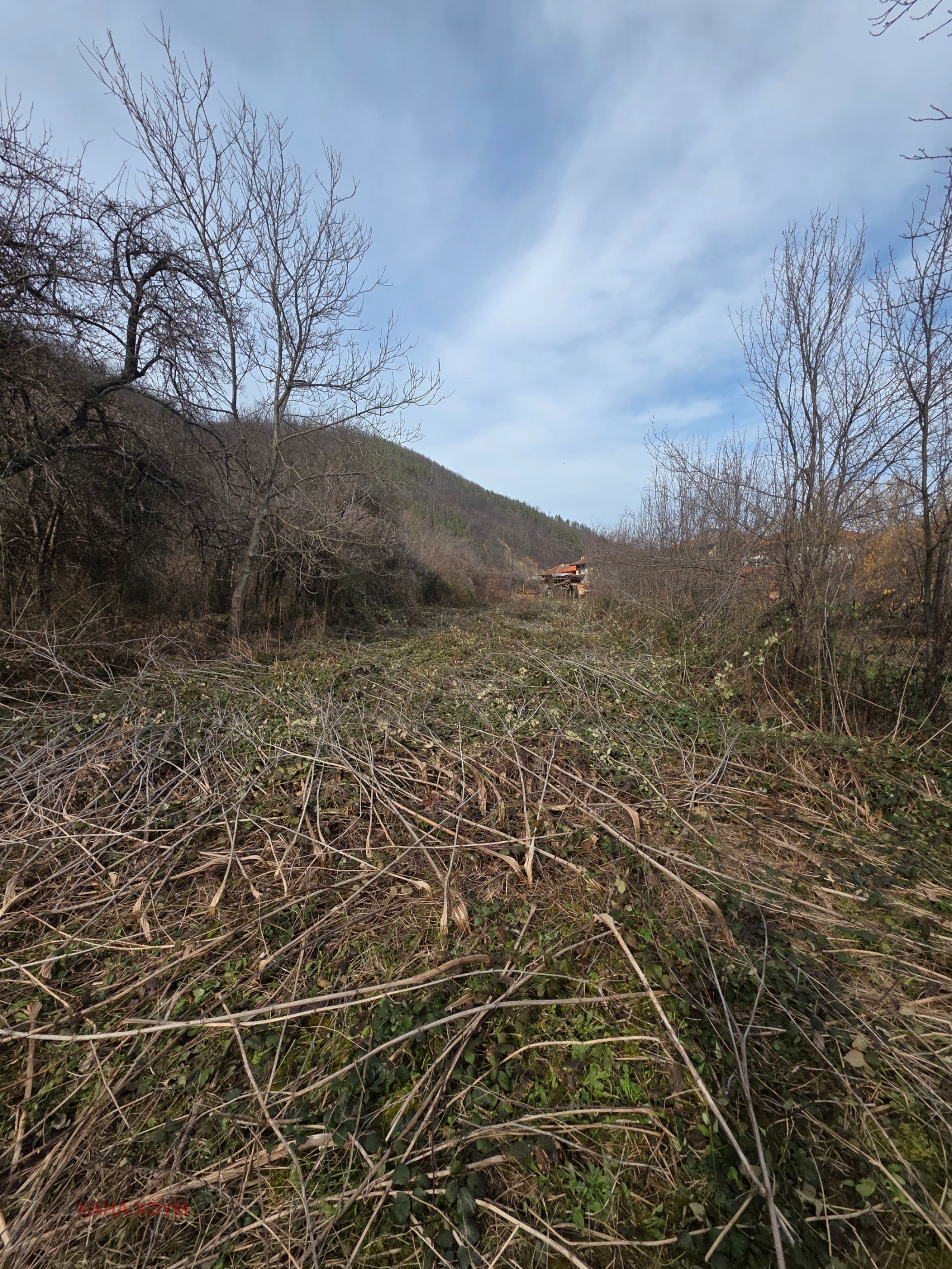 ������� ������ | Imot.bg � ����������� 1