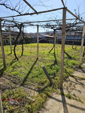 ����� ������� ����,�. ���������, ������ ����� ������