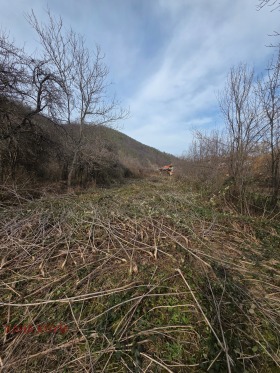 ПАРЦЕЛ, 546 m2