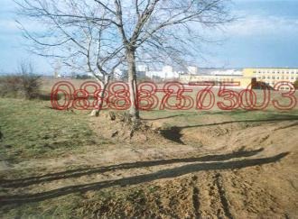 Продава ПАРЦЕЛ, гр. Плевен, Сторгозия