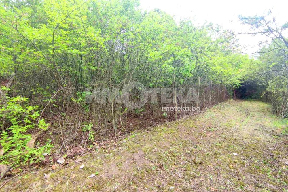 Продава ПАРЦЕЛ, гр. София, с. Лозен, снимка 2 - Парцели - 54864321