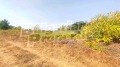 Продава ПАРЦЕЛ, гр. Бяла, област Варна, снимка 2
