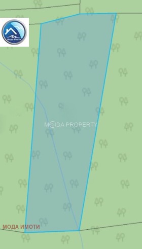 ����� ������� ������,��. ����������, ������ ������