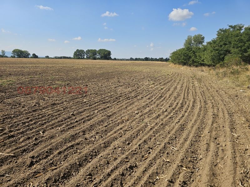 Продава ЗЕМЕДЕЛСКА ЗЕМЯ, с. Боянци, област Пловдив, снимка 5 - Земеделска земя - 53557037