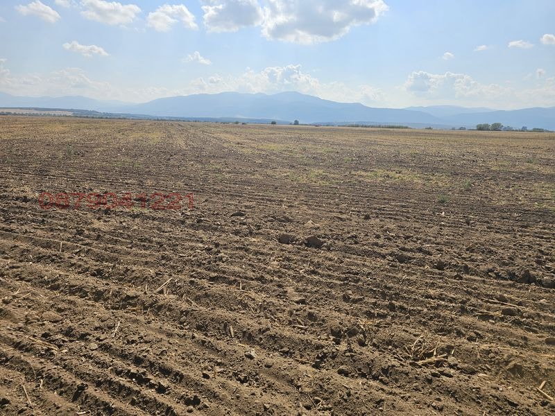 Продава ЗЕМЕДЕЛСКА ЗЕМЯ, с. Боянци, област Пловдив, снимка 4 - Земеделска земя - 53557037