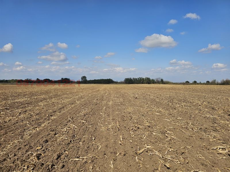 Продава ЗЕМЕДЕЛСКА ЗЕМЯ, с. Боянци, област Пловдив, снимка 3 - Земеделска земя - 53557037