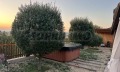 Продава КЪЩА, с. Черни връх, област Бургас, снимка 3
