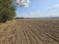 Продава ЗЕМЕДЕЛСКА ЗЕМЯ, с. Боянци, област Пловдив, снимка 6