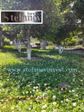 ������� ���� | Imot.bg � ����� ������ 15