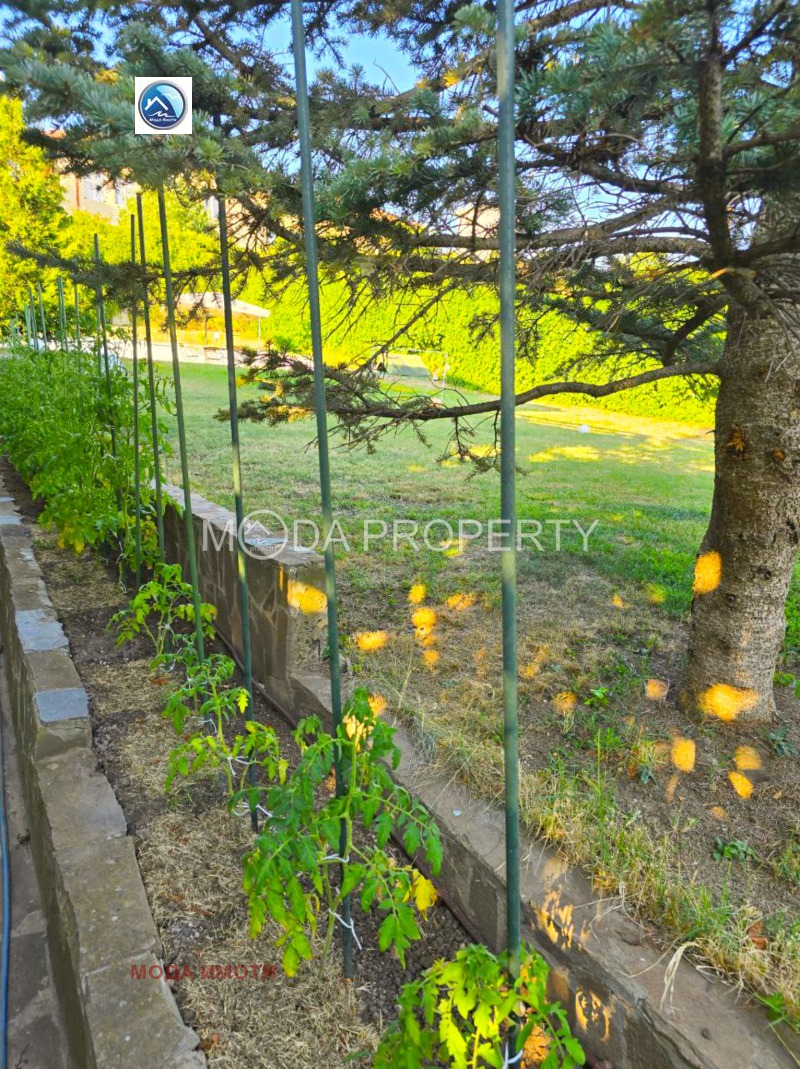 Til salg  Hus region Burgas , Kosharitsa , 335 kvm | 41700074 - billede [3]