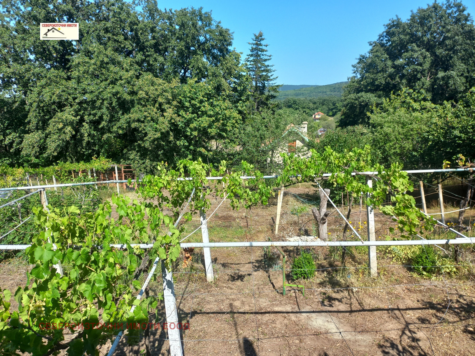 ������� ���� | Imot.bg � ����������� 6