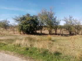 Jord Paunovo, region Sofia 4