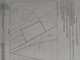 Jord Paunovo, region Sofia 2