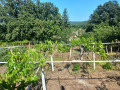 Продава  Вила област Варна , с. Осеново , 65 кв.м | 28518850 - изображение [6]